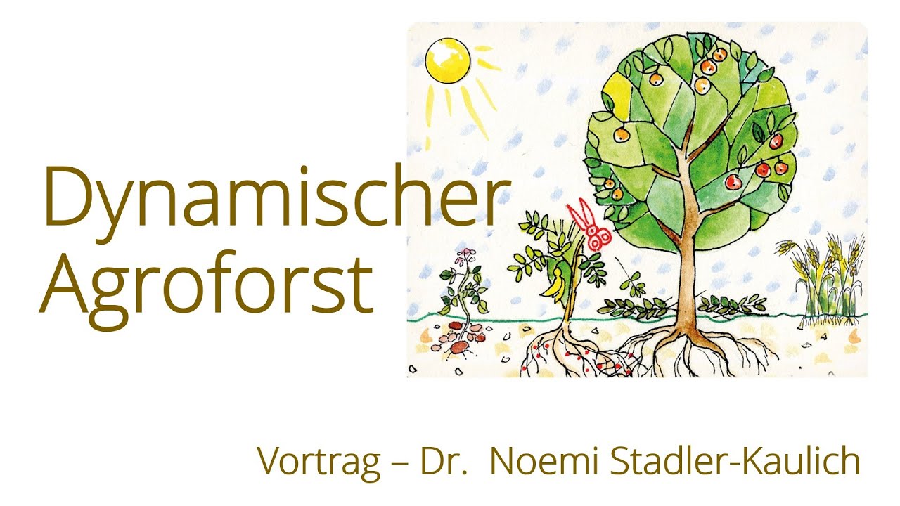 Dynamischer Agroforst - Vortrag von Dr. Noemi Stadler-Kaulich