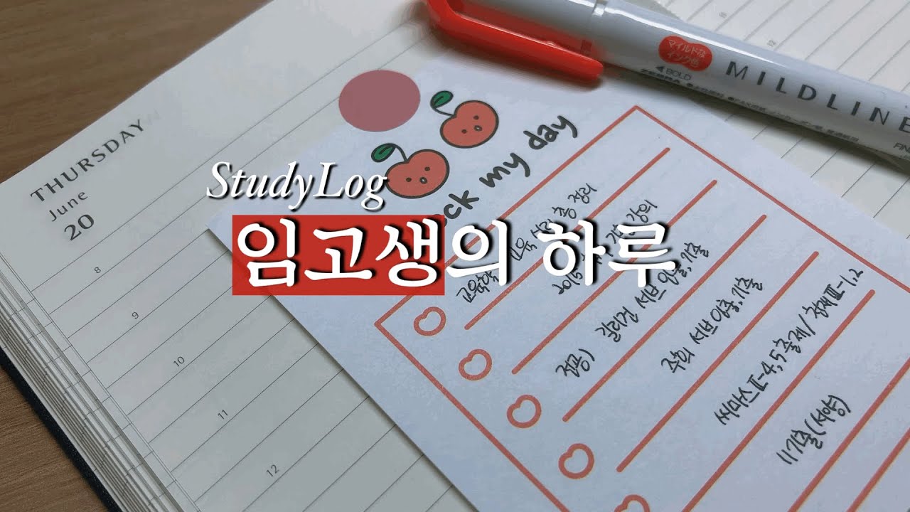 임고생 브이로그🎬ㅣ대한문구 쇼핑✏️♥️ㅣ잘 챙겨 먹고 독서실에서 공부하는 임고생의 이틀🌱🤓ㅣStudy Vlog
