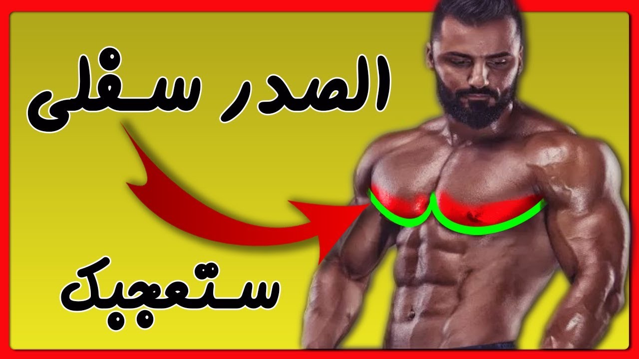 (Lower chest) اقوى تمارين 4 عضلة الصدرالسفلية كافية لنحتها وتضخيمها