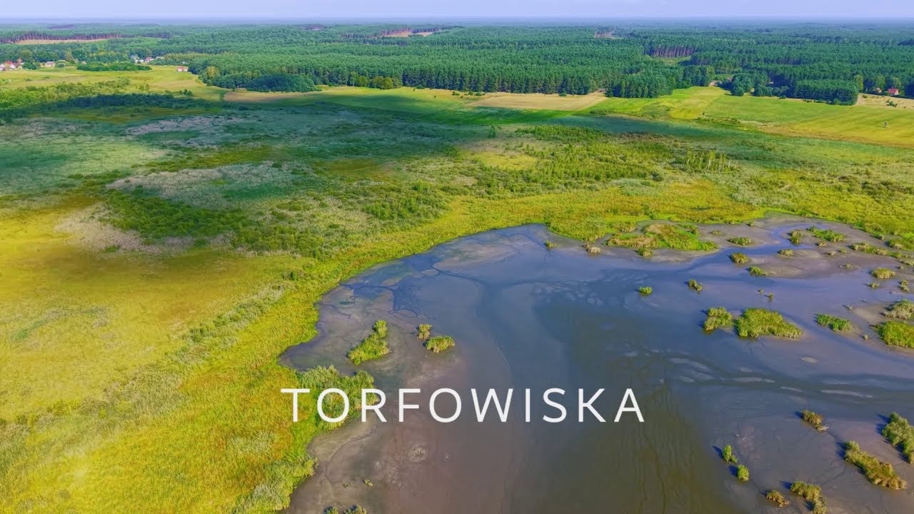 Różnorodność biologiczna. Torfowiska