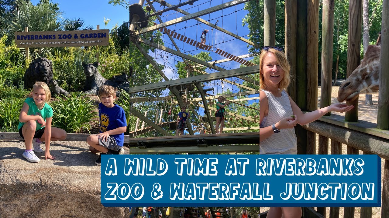 Exploring Riverbanks Zoo in Columbia | Waterfall Junction, Giraffe Feeding, Sky-High Safari & More