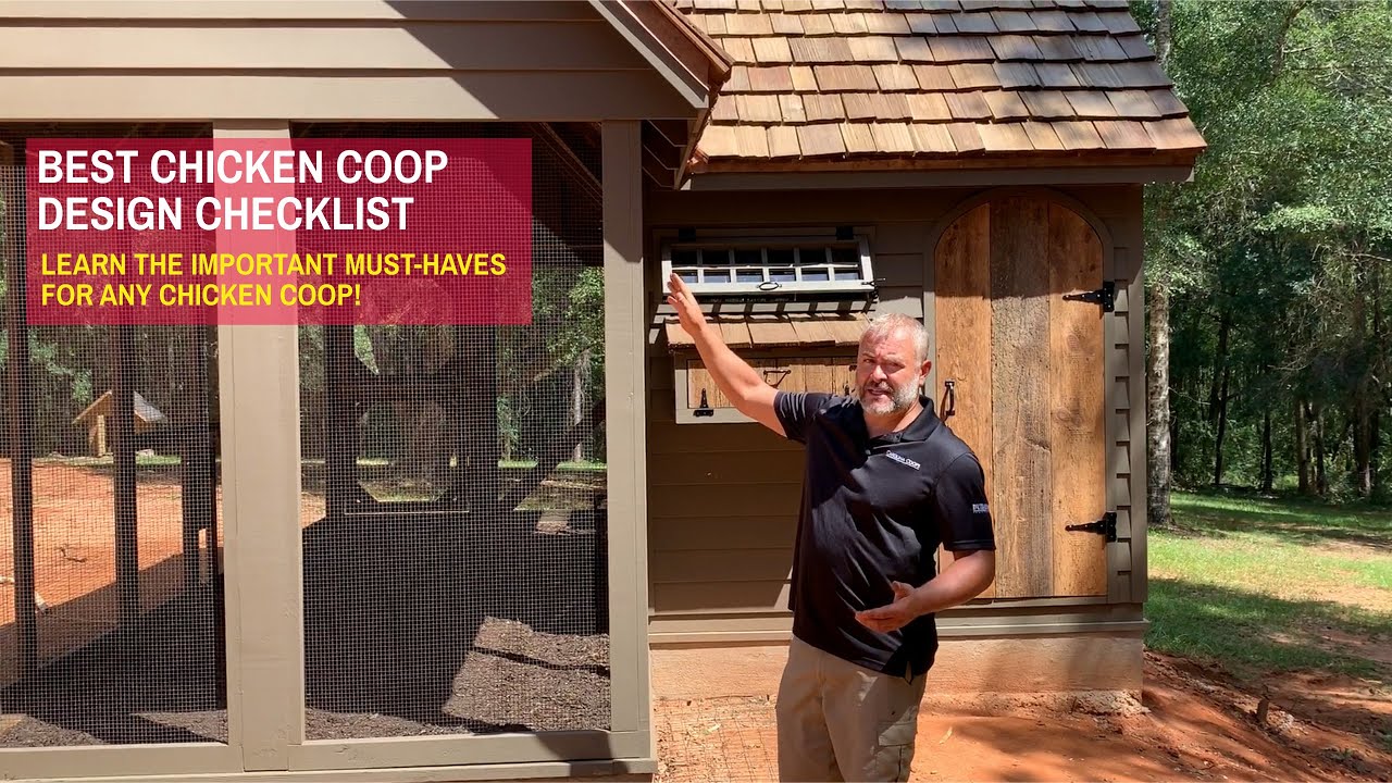 Best Chicken Coop Design Checklist | Learn the Must-Haves for any Chicken Coop