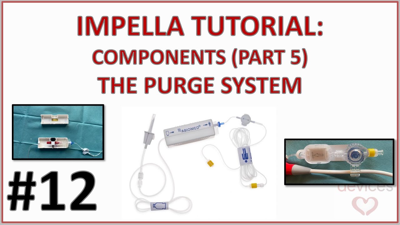 ⚙️ КОМПОНЕНТЫ IMPELLA CP, ЧАСТЬ 5 - СИСТЕМА ПРОДУВКИ, ПРОДУВОЧНЫЕ ТРУБКИ, ПРОДУВОЧНАЯ КАССЕТА (РУ...