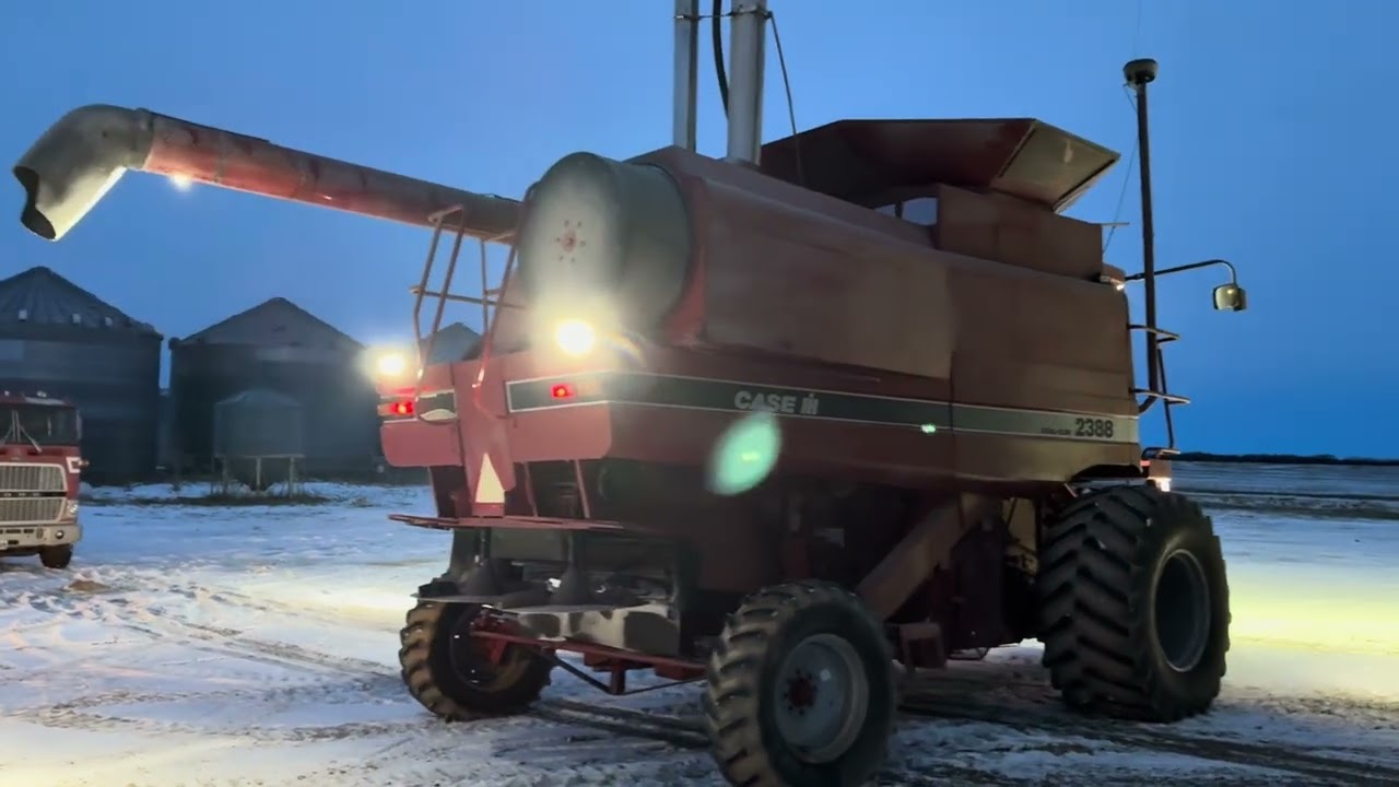 1998 Case IH 2388 for sale