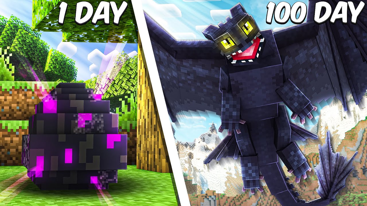 I Spent 100 Days in How to Train your Dragon in Hardcore Minecraft...