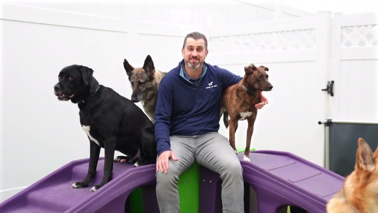 Paws 'n' Rec - Fayetteville Virtual Tour