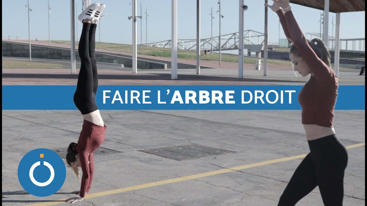 Comment faire l&rsquo;arbre droit ?