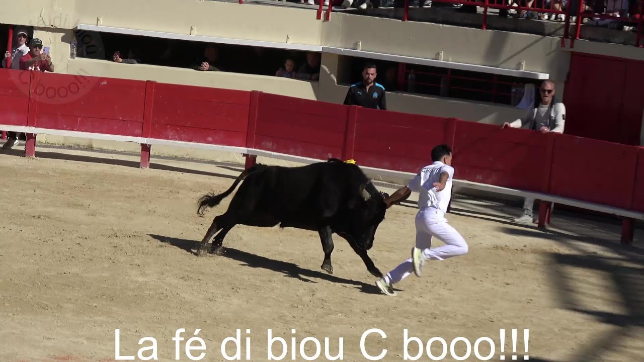 Mauguio ▶trophée 3M - niveau AS◀ 30.03.2025.