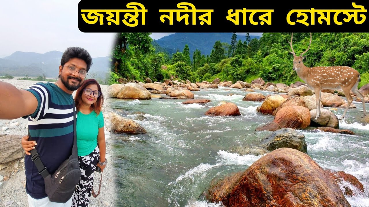 Buxa Jayanti Tour | 1350 টাকায় Tree House এ থাকুন | Buxa Tiger Reserve | Buxa Jayanti Tour Plan