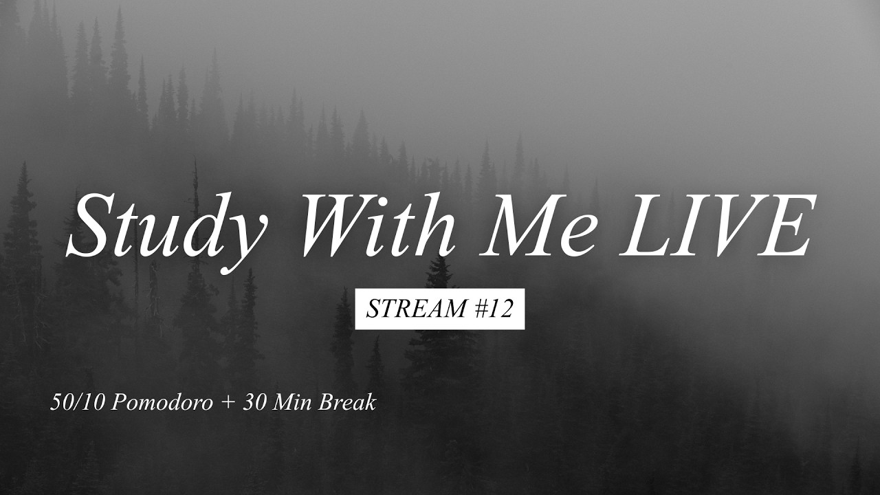 Study With Me LIVE | 🌧️ 8-Hour Rain Sounds | 50/10 Pomodoro + 30 Min Break | Stream #12