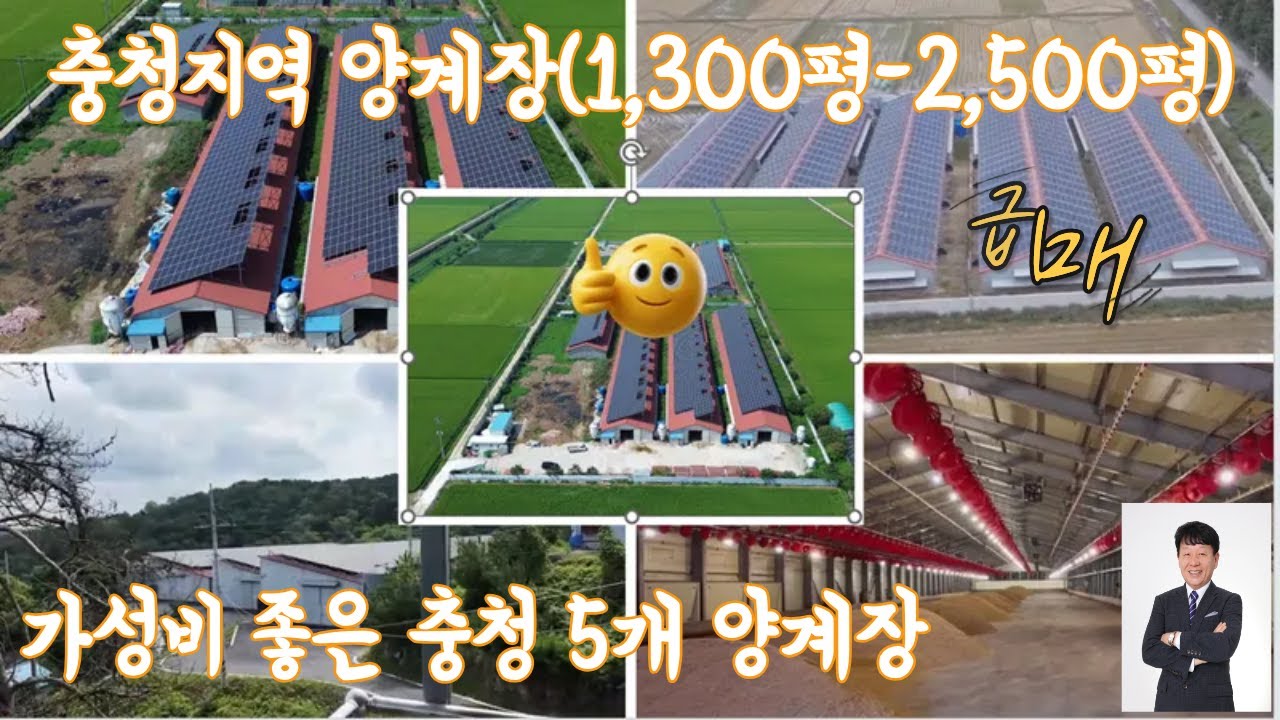 가성비 좋은 충청지역 5개 양계장 (계사:1,300-2,500평)급,매