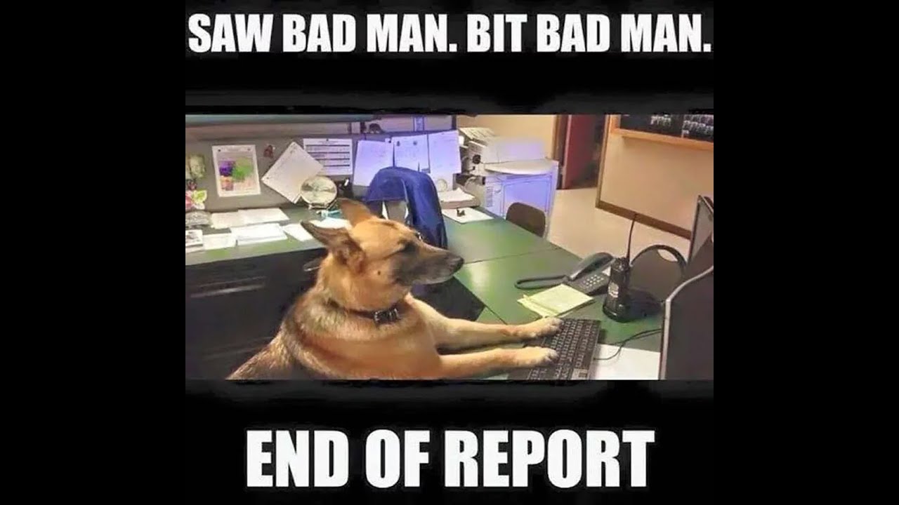 Police Report Writing: Lesson 1