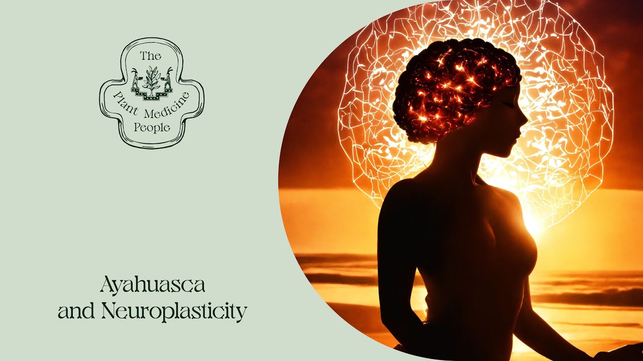 Ayahuasca and Neuroplasticity