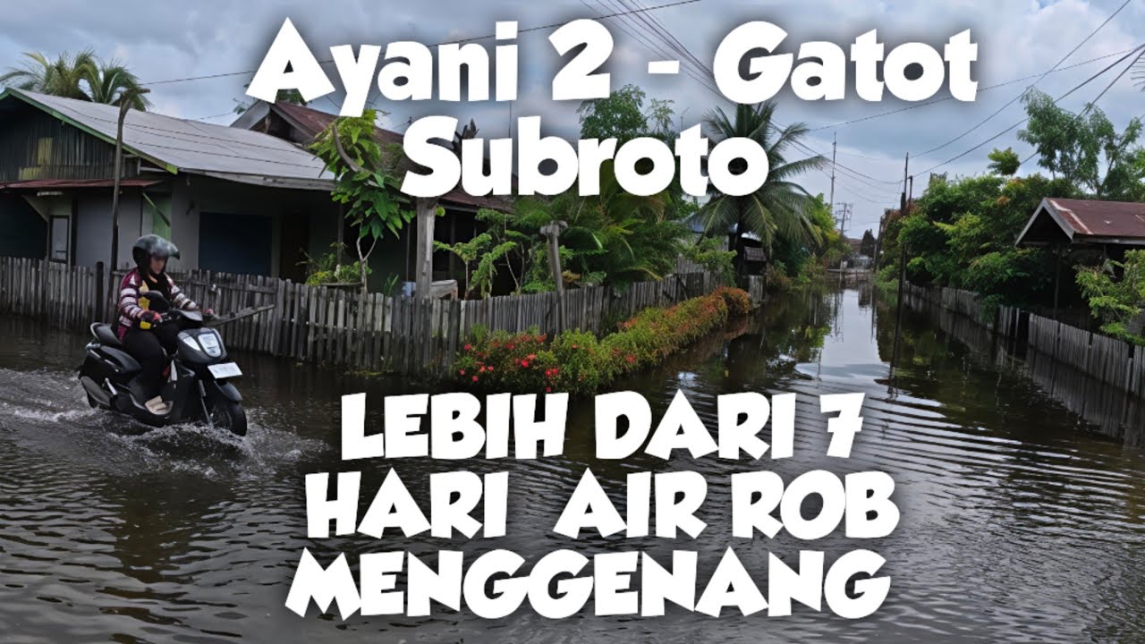 BERAPA LAMA LAGI WARGA HARUS MENDERITA ? || PASANG ROB DI BANJARMASIN 