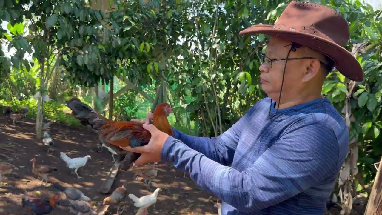 NRC GAMEFARM Atty.Jun Cajes “Early Bird WPC 1”
