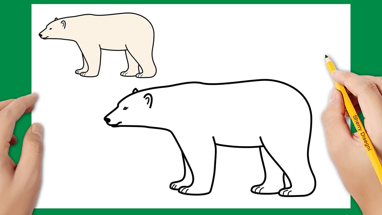Come disegnare un orso polare facile
