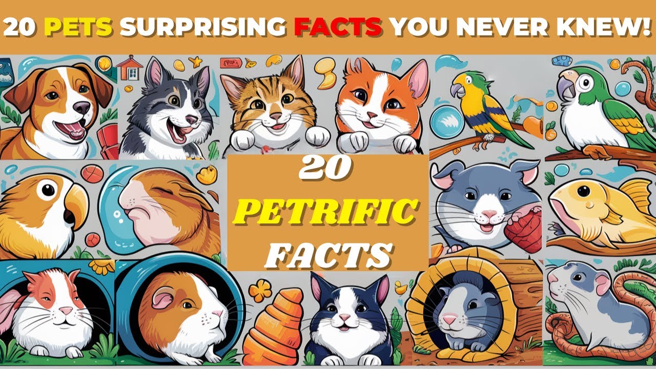 Shocking secrets: 20 amazing household pet facts! #petfacts #pets