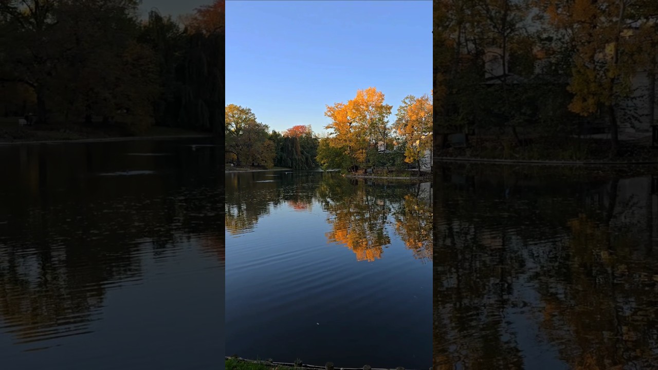 You must see these autumn colors in Warsaw/Poland  