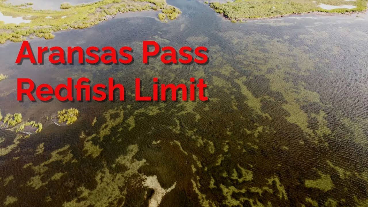 Redfish Limit On A Quick Scouting Trip Aransas Pass Texas