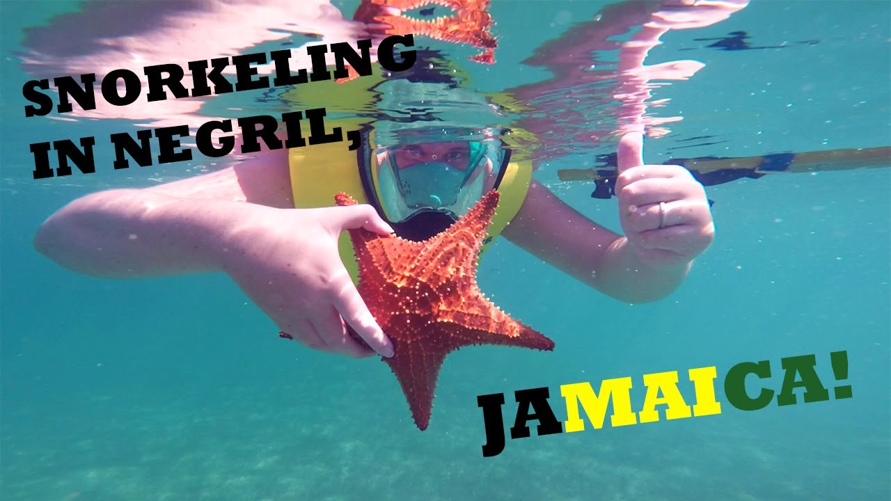 Snorkling in Negril, Jamaica!