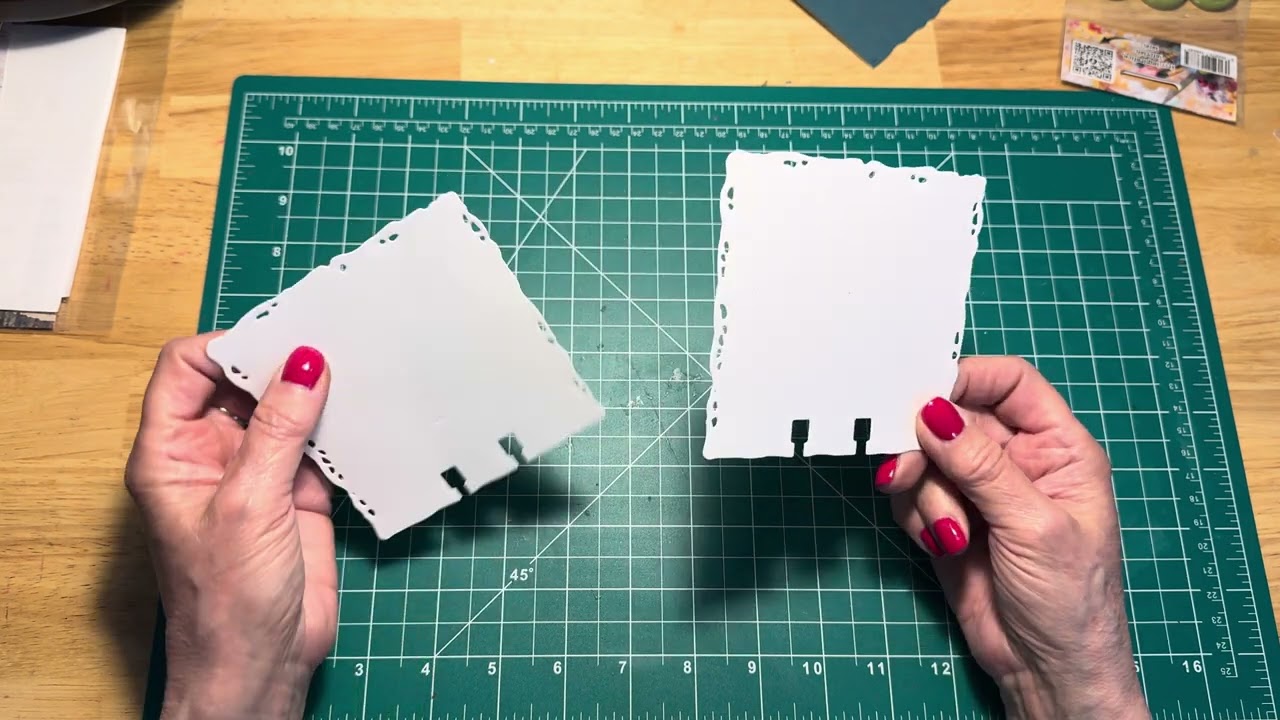 Mini Album….MemoryDex Storage…​⁠Thank You JessChrisDoni@aallandcreate @heidiswapp00