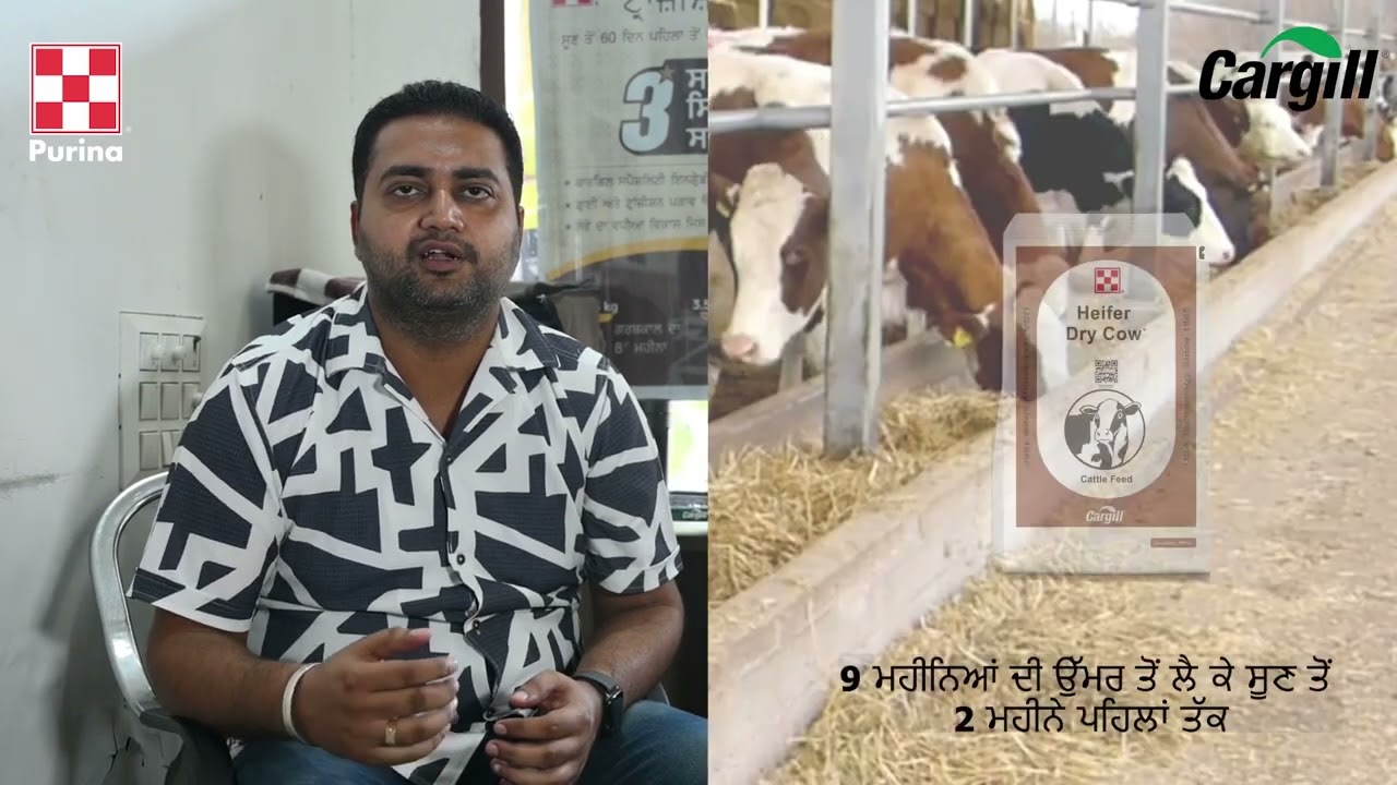 @purina @CargillFeedIndia 