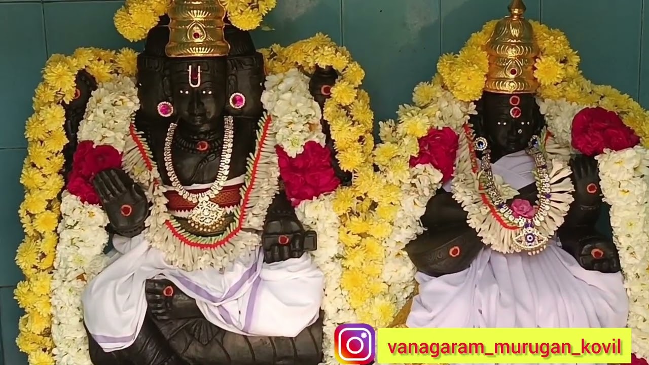 தமிழர் திருநாள் சிறப்பு 15-01-2026