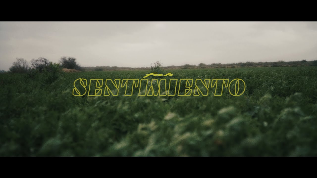 Fak - Sentimiento (Film by @tobiasbergese) 🦊