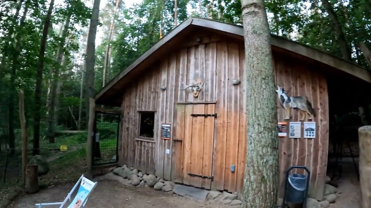 Übernachten bei Wölfen im Wildpark Mecklenburg-Vorpommern, was für ein Abenteuer!