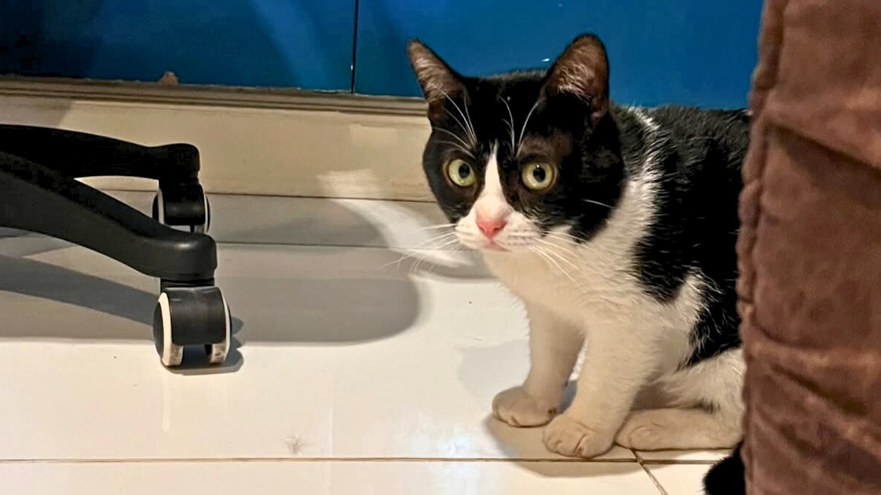 He Wasn’t Supposed to Survive — But Look at Him Now