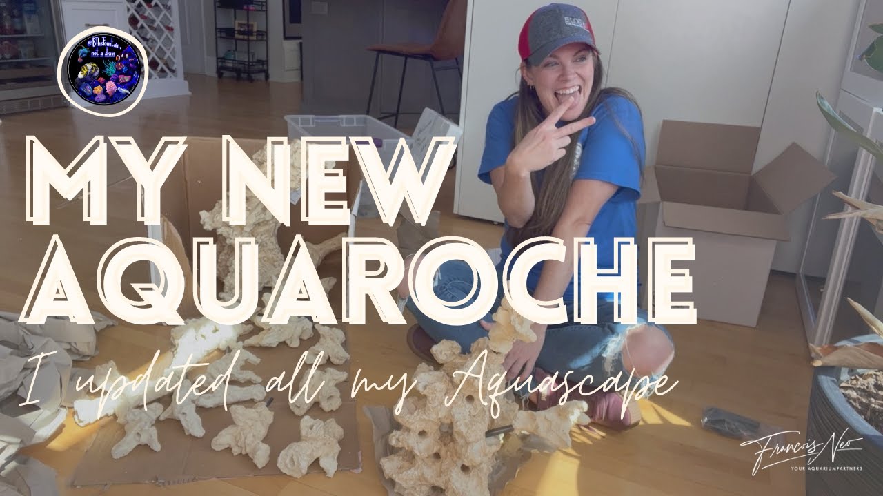 MY NEW AQUAROCHE