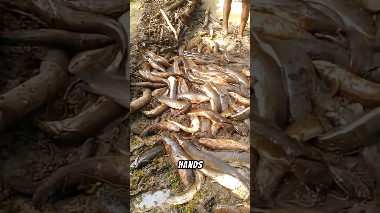 This Congo Fishing Method Is Wild!