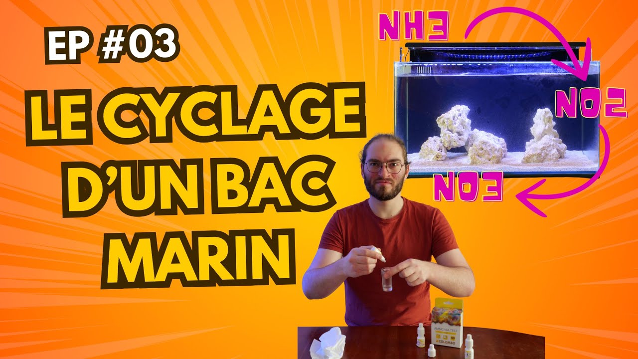 Démarrer mon premier bac récifal [EP#03] : Le cyclage d'un bac marin à l'ammoniaque
