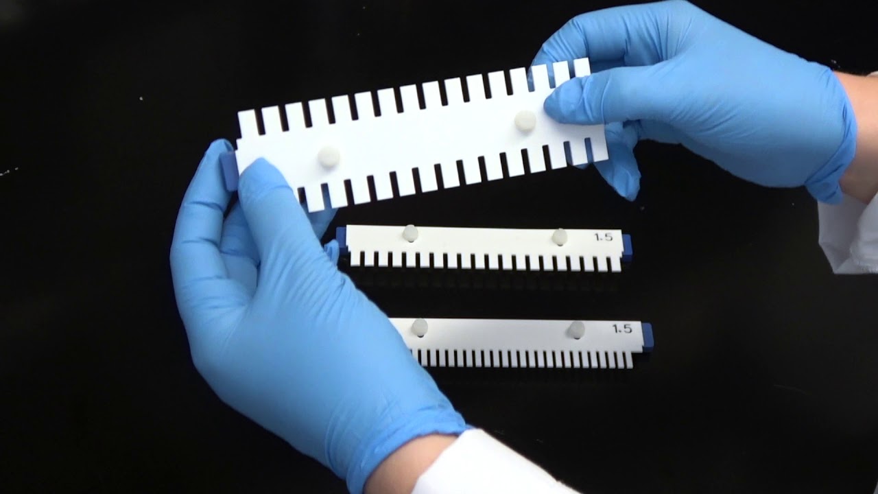 Agarose Gel Electrophoresis Tip #3: Increase Resolution of DNA Bands