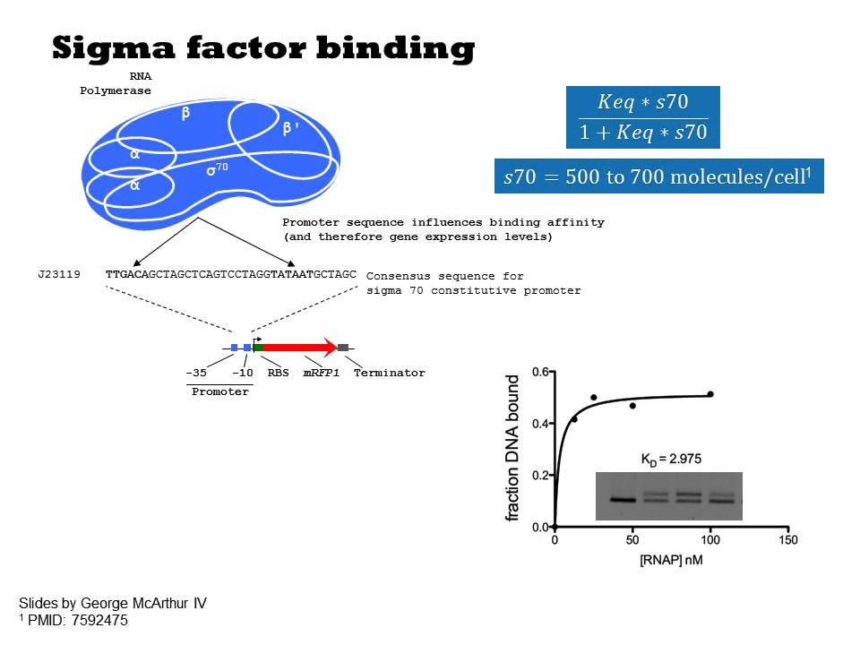 Relative Promoter Units