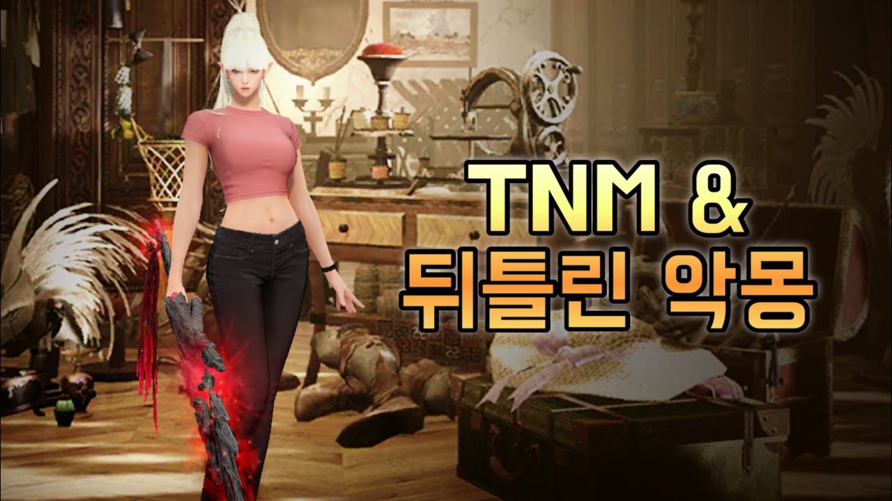 [쉐도우-뒤틀린 악몽] Void Knight- Twisted Nightmare