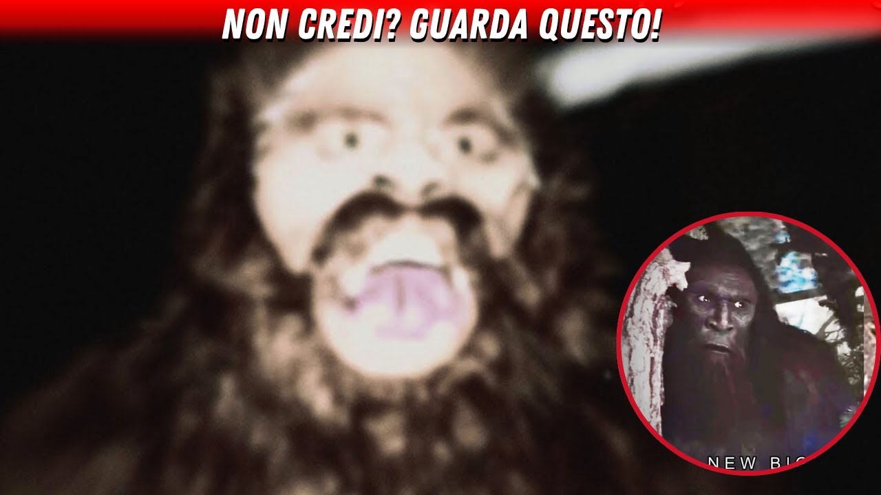 Impossibile Ignorare: I Video di Bigfoot Che Ti Faranno Credere! (Mega Compilazione)
