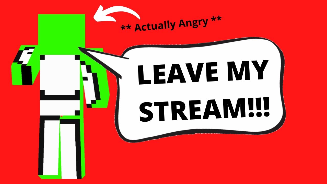 Dream Gets MAD at his viewers