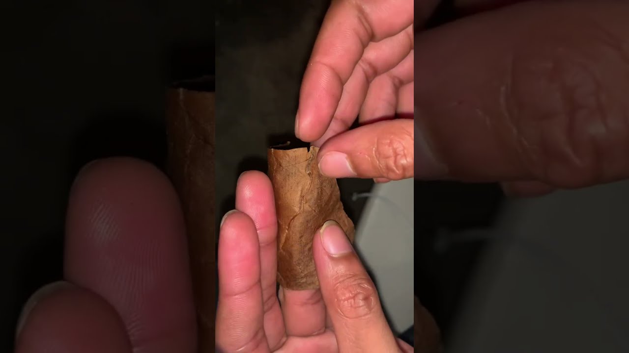 Backwood Stem Removal Tutorial - PART 1 &ldquo; [ For Loose Stems ] &ldquo;