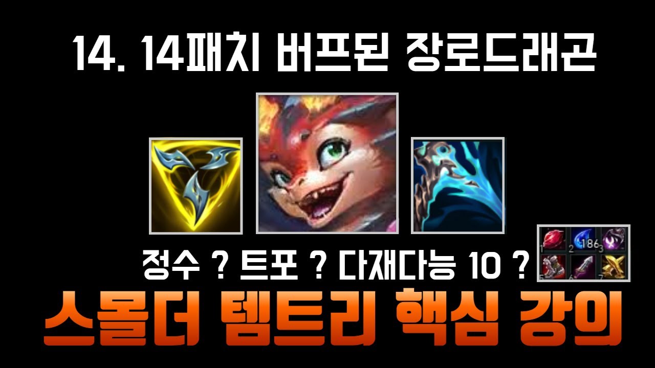 14.14 다재다능 스몰더 강의 ( 팀원 때문에 성장 말리는 원딜 필독 ! )