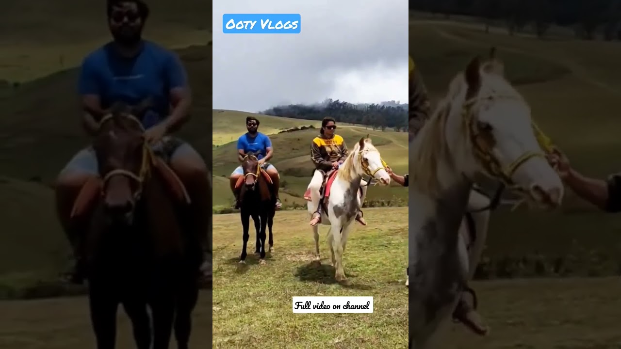 Ooty Vlogs 2 #ooty #horseriding #tourism