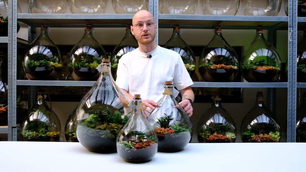 Stekkie mini-ecosysteem uitlegvideo