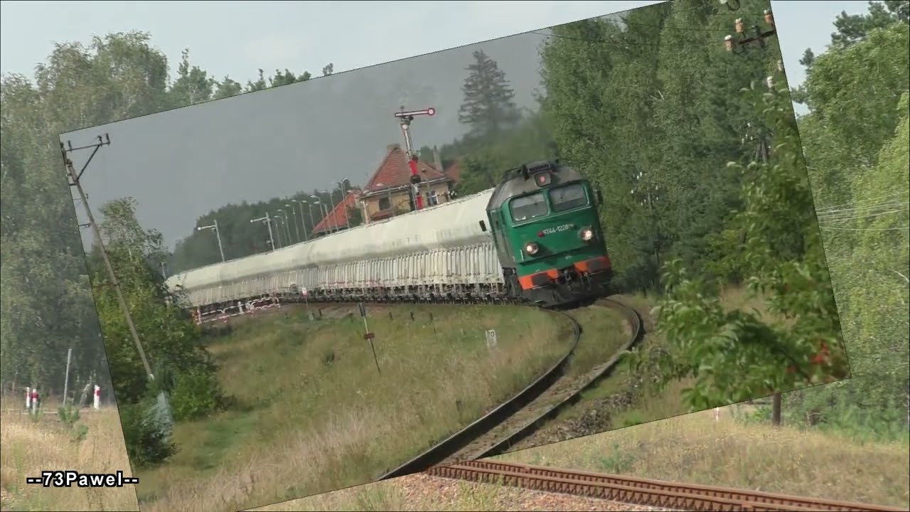 Movie Trailer: Wierzchucin 2022