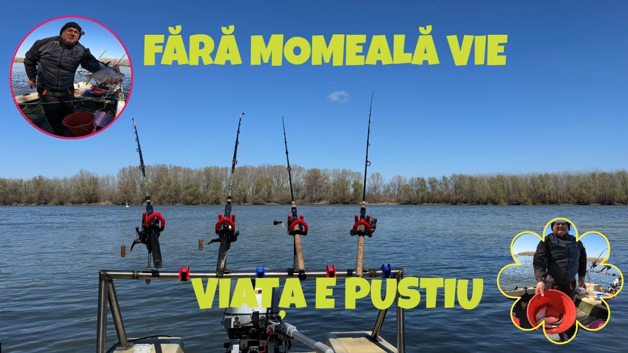 PESCUIT STAȚIONAR PE DUNĂRE  MOMEALA VIE TE SCAPĂ DE LAMPĂ