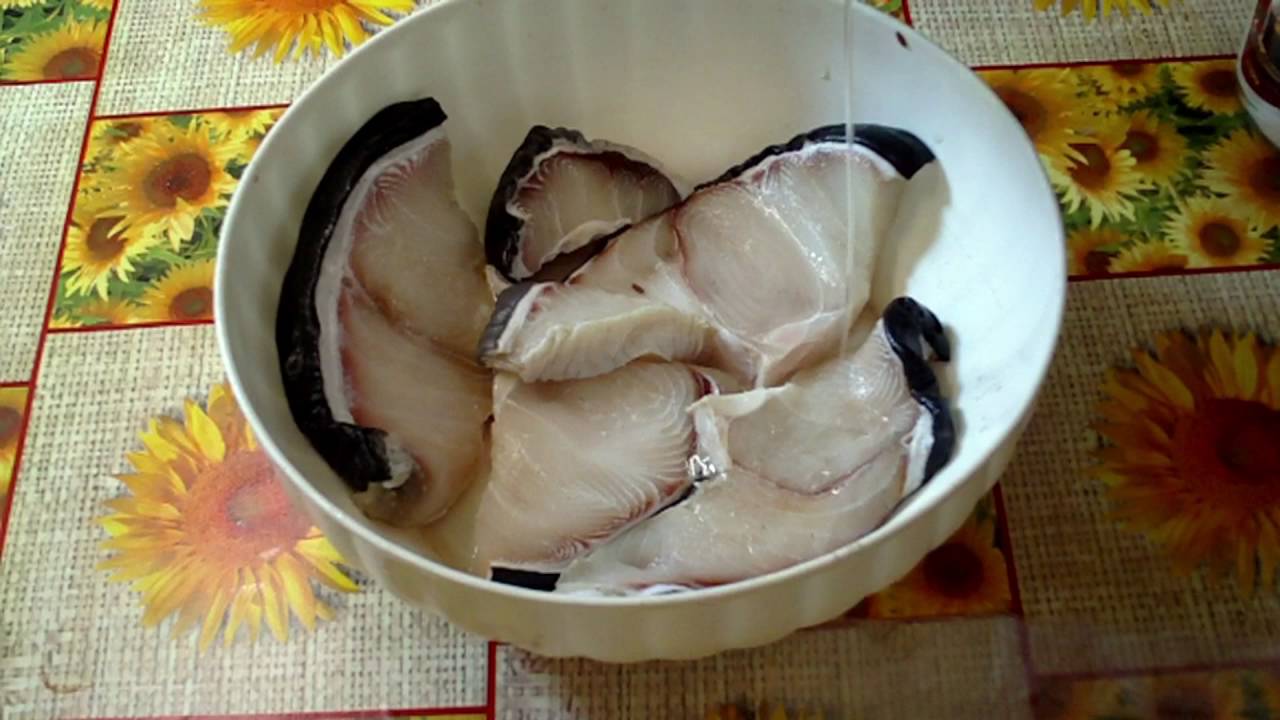 Žralok