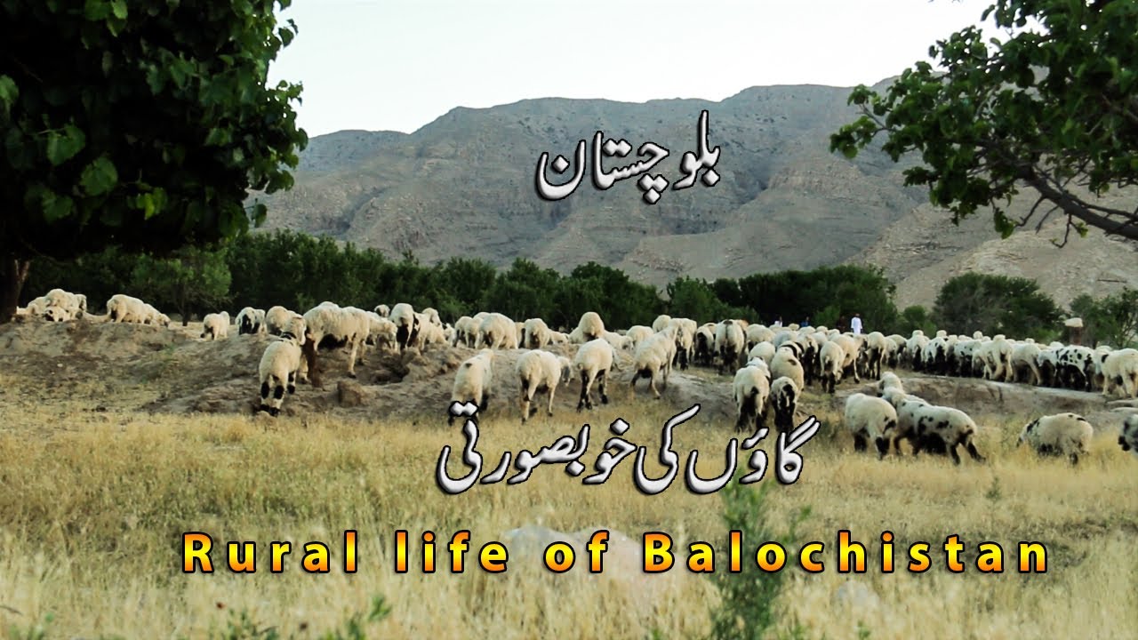 Beauty of Rural Balochistan| Feyrozai Vlogs|2020|