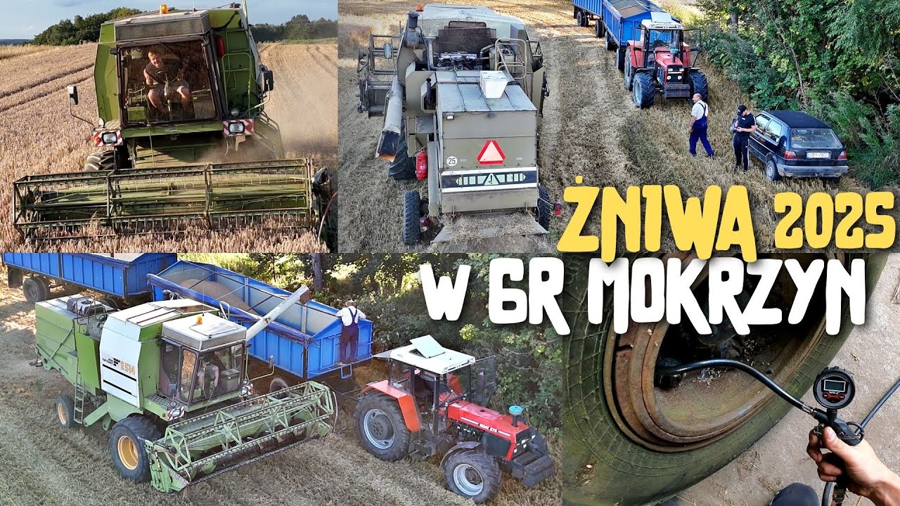 ŻNIWA 2025 w GR MOKRZYN 🔥PRZYGOTOWUJEMY ZESTAWY & WJEŻDŻAMY W PSZENŻYTO NASIENNIE 🌾FOSRTCHRITT & ZTS