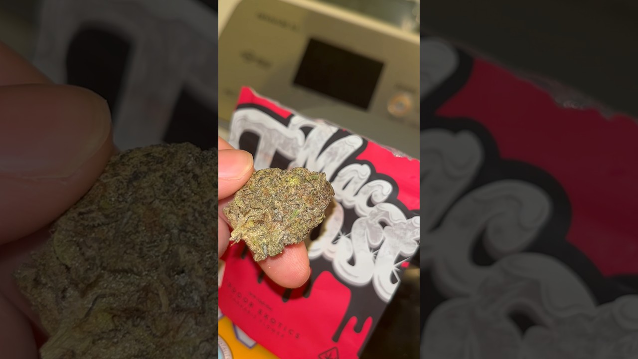 New strain review RIPP brand Mac Frost is it worth it or is it woooorth it