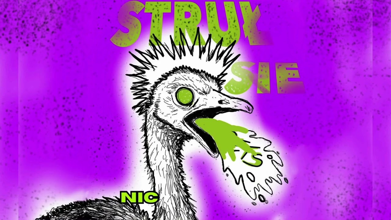 PETS - STRUŁ SIE