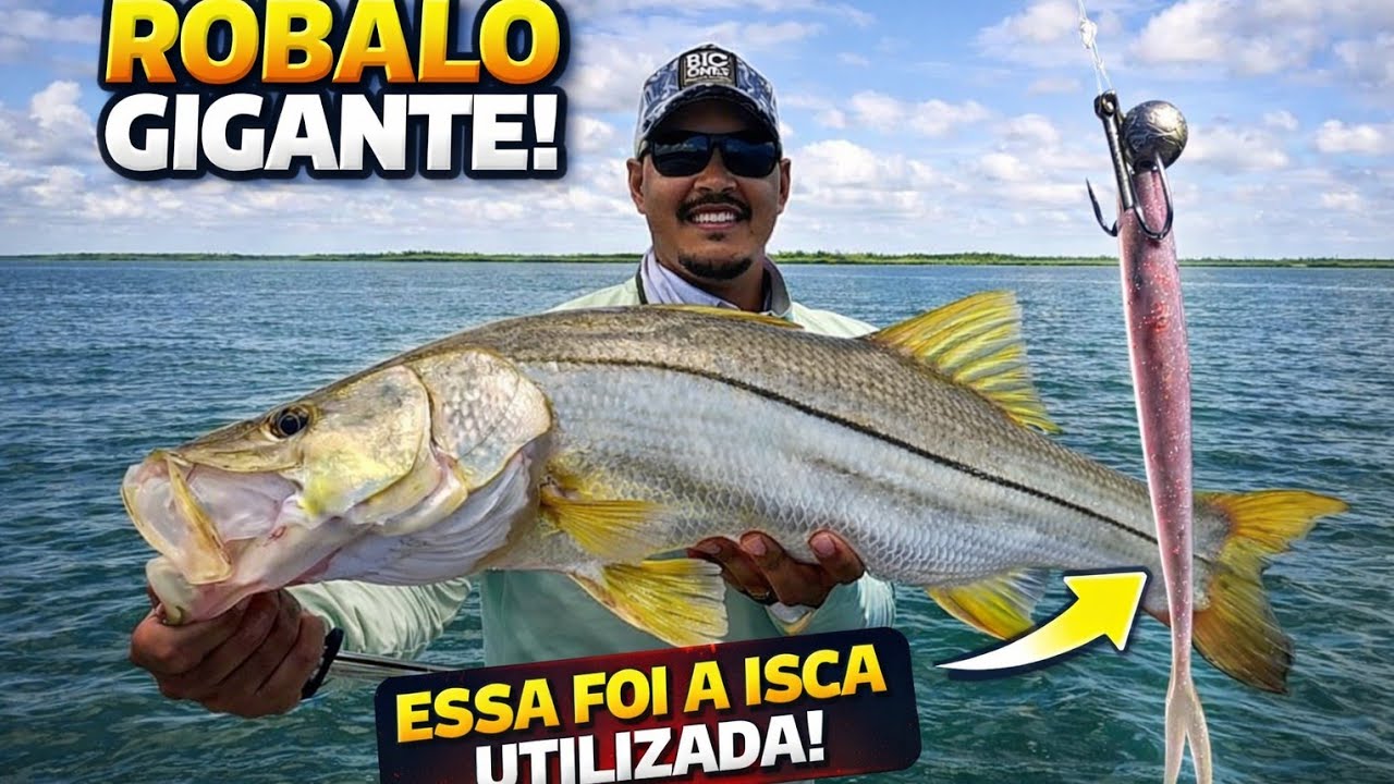 PESCARIA INSANA DE ROBALO EM ALAGOAS!🇧🇷